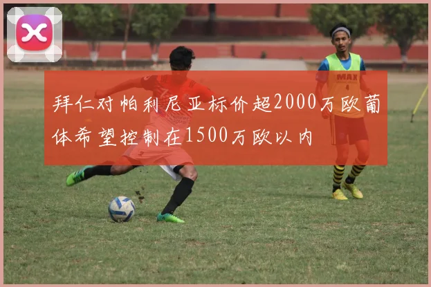 拜仁对帕利尼亚标价超2000万欧葡体希望控制在1500万欧以内
