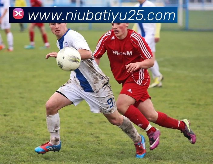 牛八体育发展历程